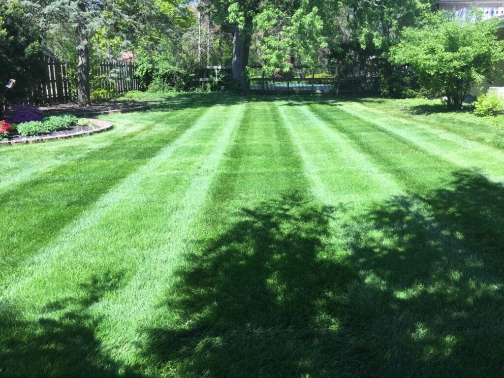 WhatsApp Image 2024 11 26 at 5.15.10 PM 1