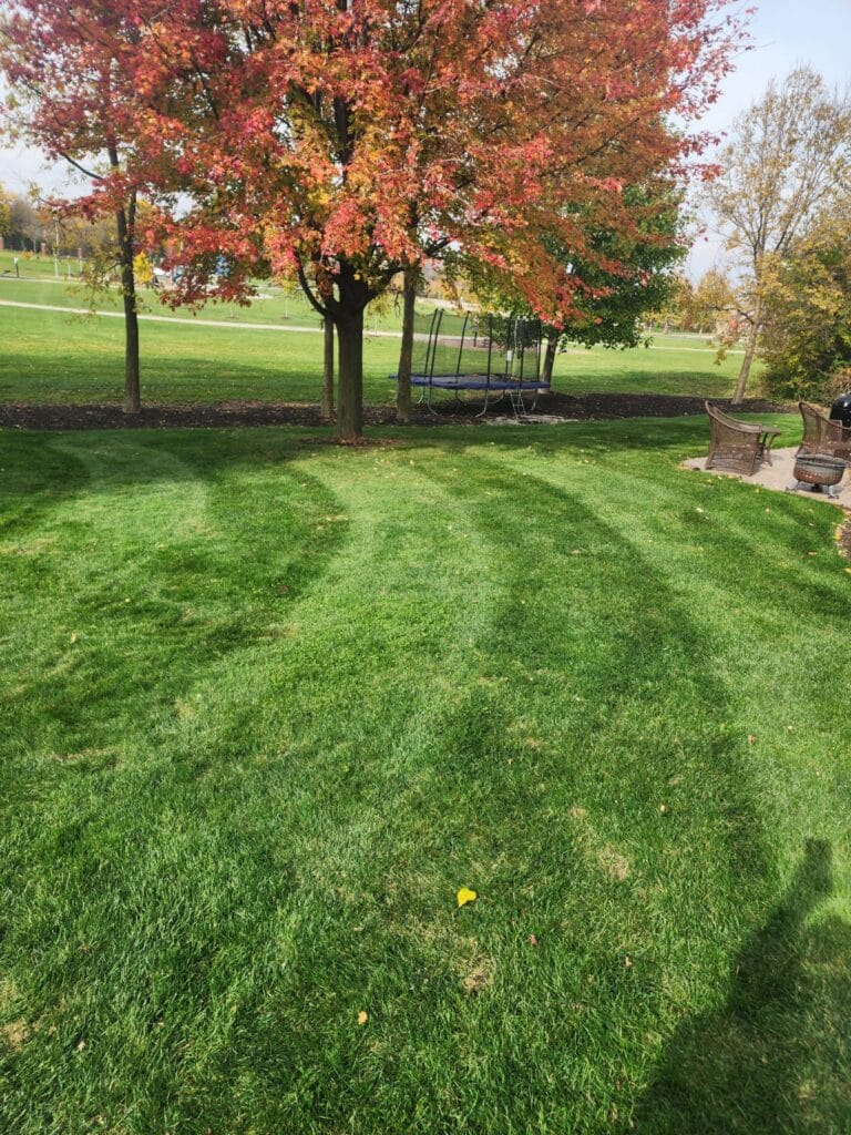 Custom Outdoor Design & Maintenance SEO Description: